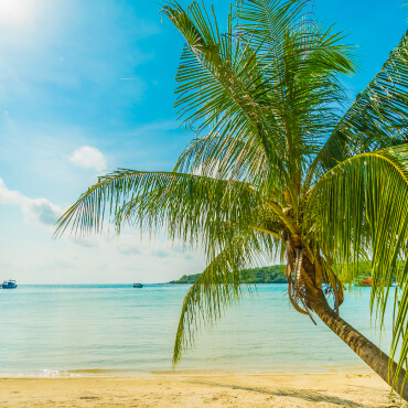 tour-listing-details-slide